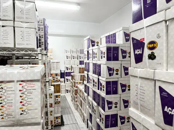 Top-X Açaí